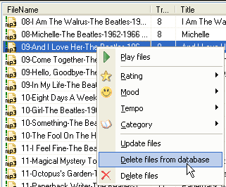 Removing files from database