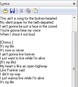 Download and edit lyrics
