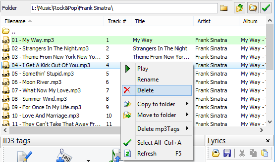 Delete files from mp3Tag Pro